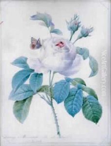 Papillon Pose Sur Une Rose by Pierre-Joseph Redoute