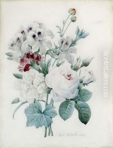 Untitle by Pierre-Joseph Redoute