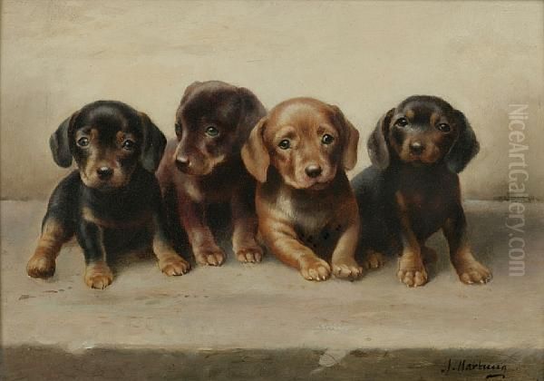 Four Dachshund Puppies - view 1