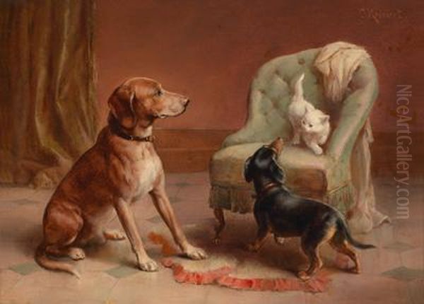Zwei Hunde Betrachtenaufmerksam Eine Weise Katze - view 1