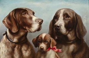 Family Of German Shorthaired Pointers Family Of German Shorthaired Pointers