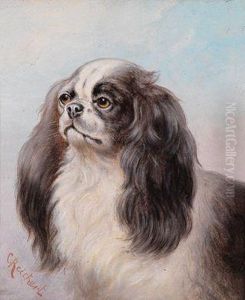 Ein Pekinese by Carl Reichert