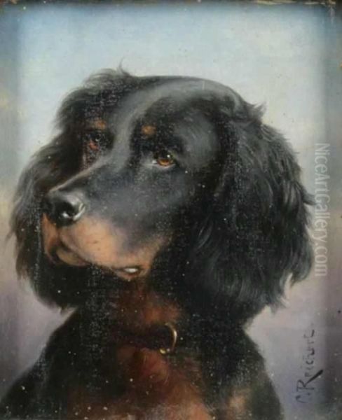 A Dog Portrait - view 1