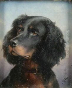 A Dog Portrait