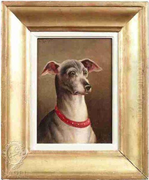 A Greyhound - view 1