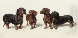 Four Dachshunds by Carl Reichert