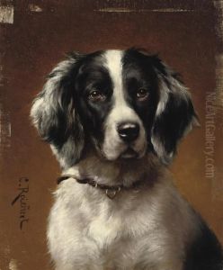 A Spaniel