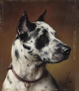 A Great Dane