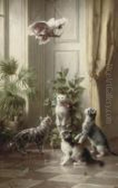 Cats And The Cockatoo - view 1