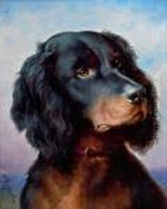 Hundeportrait