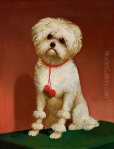Weiser Pudel Mit Rotem Halsband