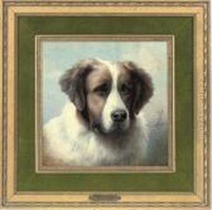 A St. Bernard