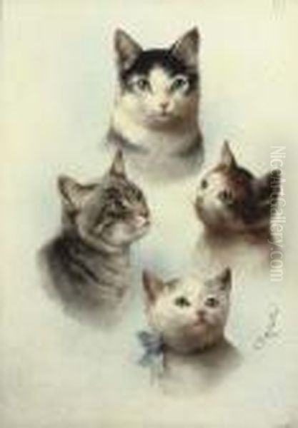 Cute Cats - view 1