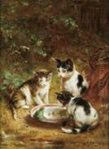 Eine Neue Bekanntschaft by Carl Reichert