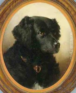 Black Dog