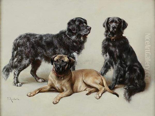 Favorite Dogs - view 1