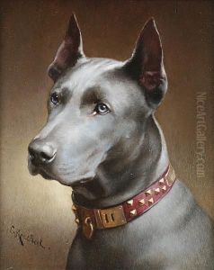 A Blue Great Dane