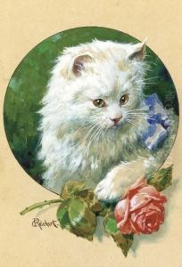 The Little White Kitten by Carl Reichert