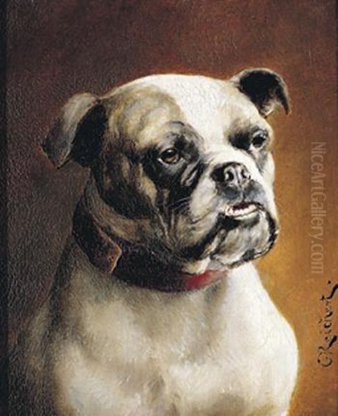 Bulldog - view 1