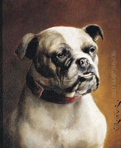 Bulldog