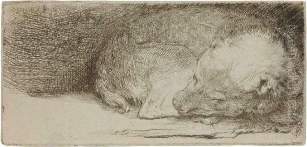 A Sleeping Puppy - view 1
