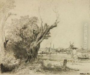 Seaside Town With Tree Stump