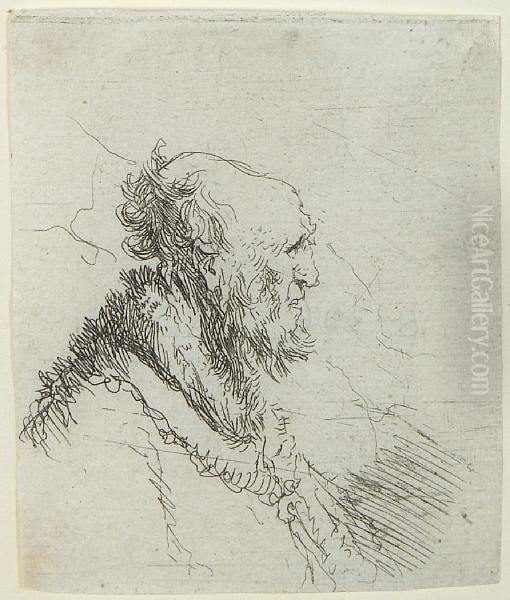 Bald Old Man With A Short Beard, In Profile Right - view 1
