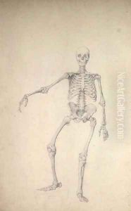 Human Skeleton, Anterior View, Right Arm Outstretched, illustration from A Comparative Anatomical Exposition of the Structure of the Human Body with that of a Tiger and a Common Fowl, 1795-1806