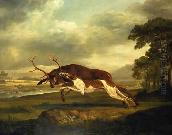 A Hound attacking a stag - view 1