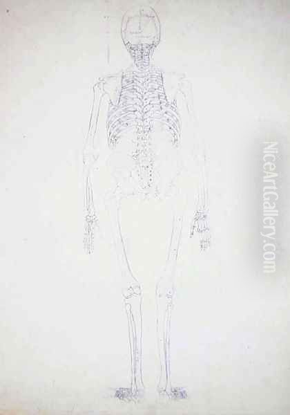Study of the Human Figure, Posterior View, Diagram for Key to Table II, from A Comparative Anatomical Exposition of the Structure of the Human Body with that of a Tiger and a Common Fowl, c.1795-1806 - view 1