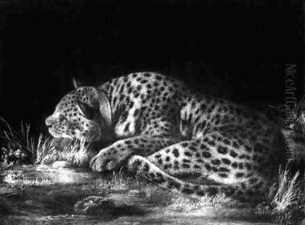 A Tyger A Sleeping Cheetah - view 1
