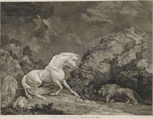 A Horse Affrighted by a Lion, engraved by the artist