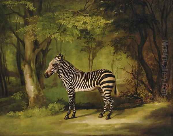 A Zebra, 1763 - view 1