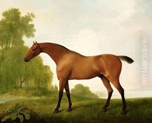 A Bay Thoroughbred in a Landscape, 1801