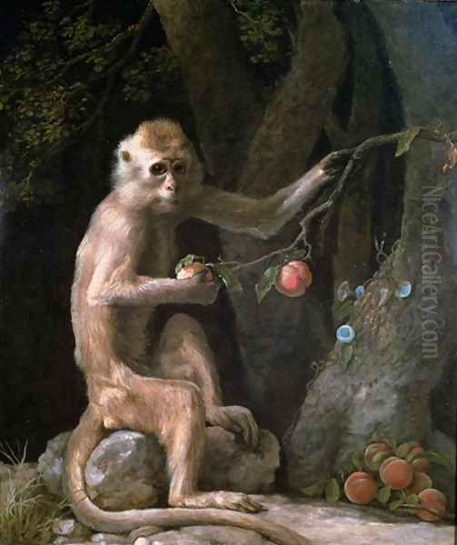 Portrait of a Monkey dated 1774 - view 1