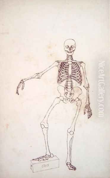 Study of the Human Figure, Anterior View, from A Comparative Anatomical Exposition of the Structure of the Human Body with that of a Tiger and a Common Fowl, 1795-1806 - view 1