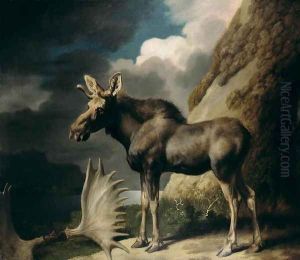 Moose, 1770