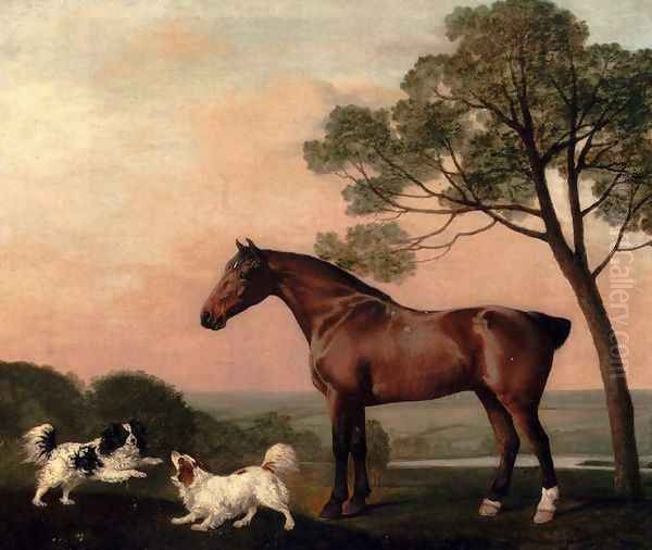 A Bay Hunter With Two Spaniels - view 1