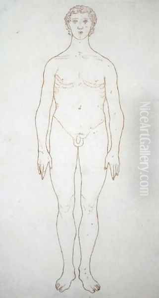 Study of the Human Figure, Anterior View, from A Comparative Anatomical Exposition of the Structure of the Human Body with that of a Tiger and a Common Fowl, c.1795-1806 6 - view 1