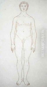 Study of the Human Figure, Anterior View, from A Comparative Anatomical Exposition of the Structure of the Human Body with that of a Tiger and a Common Fowl, c.1795-1806 6