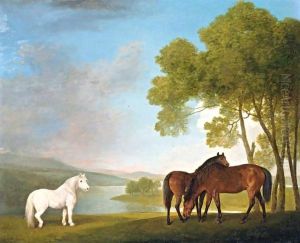 Two Bay Mares And A Grey Pony In A Landscape