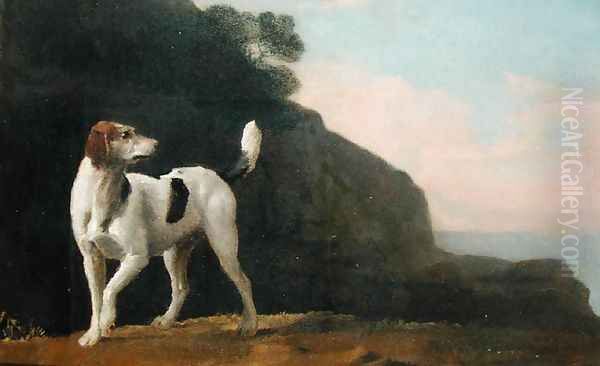 A Foxhound, c.1760 - view 1