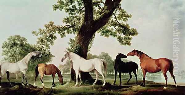 Mares by an Oak Tree - view 1