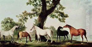 Mares by an Oak Tree