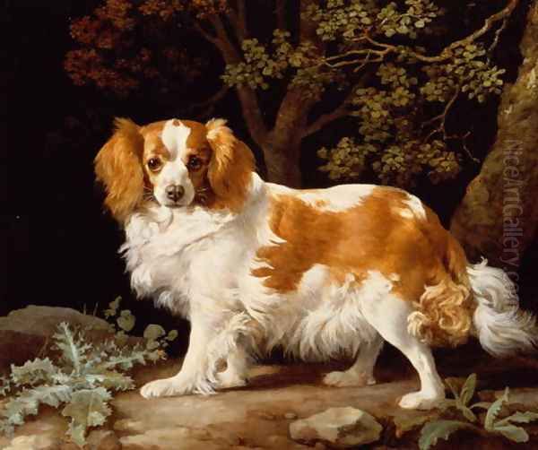 A Liver and White King Charles Spaniel in a Wooded Landscape, 1776 - view 1
