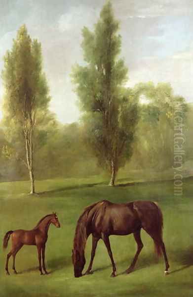A Chestnut Mare and Foal in a Wooded Landscape, c.1761-63 - view 1