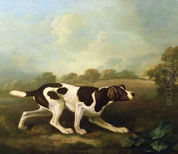 A Pointer - view 1