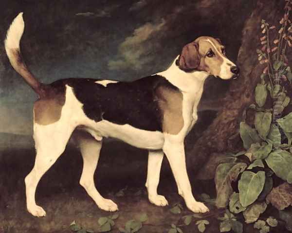 Ringwood, a Brocklesby Foxhound, 1792 - view 1