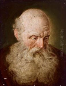 Ritratto Di Uomo Barbuto Olio Su Tela by Harmenszoon van Rijn Rembrandt