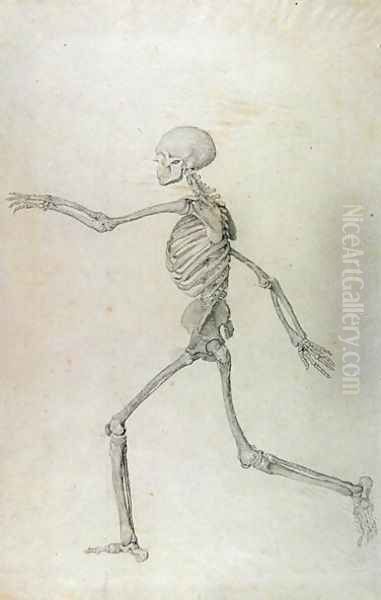 Human Skeleton, Lateral View seen from the Left, Running, illustration from A Comparative Anatomical Exposition of the Structure of the Human Body with that of a Tiger and a Common Fowl, 1795-1806 - view 1
